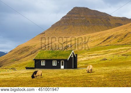 Traditional Faroese Turf Rooftop House On Streymoy Island. Sheep Are Grazing In The Meadow. Gjogv, F