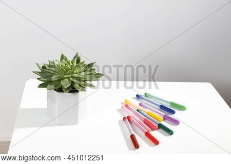 Echeveria In A Beautiful Ceramic Pot And Multi-colored Felt-tip Pens Pencils On A Beige Table. Educa