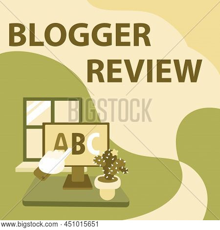 Conceptual Display Blogger Review. Business Overview Making A Critical Reconsideration And Summary O