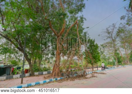 Blurred Image Of Super Cyclone Amphan Uprooted Tree Which Fell And Blocked Pavement. The Devastation
