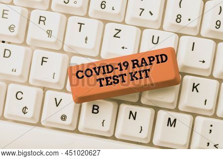 Text Showing Inspiration Rapid Test Kit. Business Overview Emergency Medical Diagnostic Equipment Th