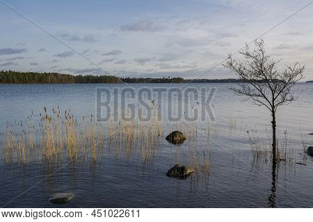 View To The Gulf Of Finland From The Shore Of Westend, Bredviken, Espoo, Finland