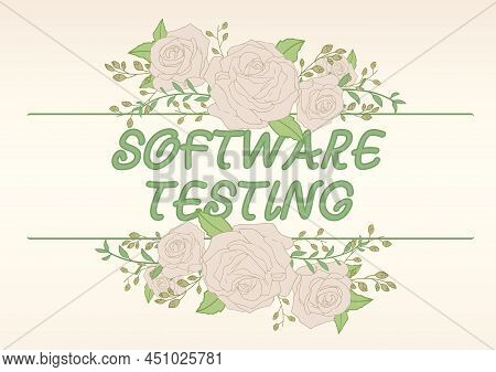 Text Showing Inspiration Software Testing. Business Idea Investigation Provide Information About The