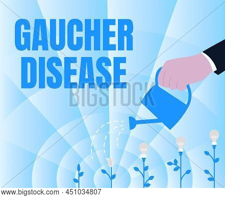 Text Sign Showing Gaucher Disease. Business Showcase Autosomal Recessive Inherited Disorder Of Metab