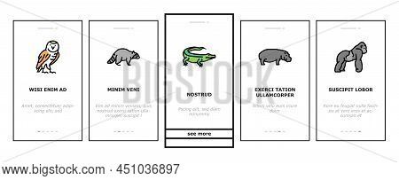 Wild Animals, Bugs And Birds Onboarding Mobile App Page Screen Vector. Alligator Reptile And Cobra S