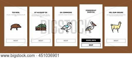 Wild Animals, Bugs And Birds Onboarding Mobile App Page Screen Vector. Alligator Reptile And Cobra S