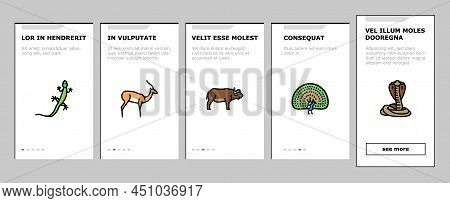 Wild Animals, Bugs And Birds Onboarding Mobile App Page Screen Vector. Alligator Reptile And Cobra S