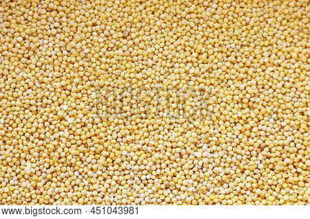 Yellow Millet Small Cereals Texture In Background Even Layer