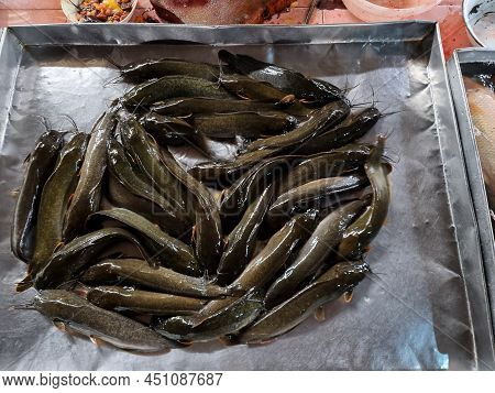 Fresh Walking Catfish Or Batrachian Walking Catfish (clarias Batrachus) For Sale At Food Market