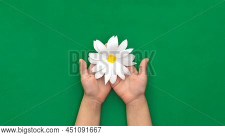 Camomile Paper Craft In Child Hands