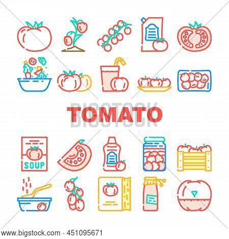 Tomato Natural Bio Ingredient Icons Set Vector. Tomato Vitamin Vegetable For Prepare Salad And Fresh
