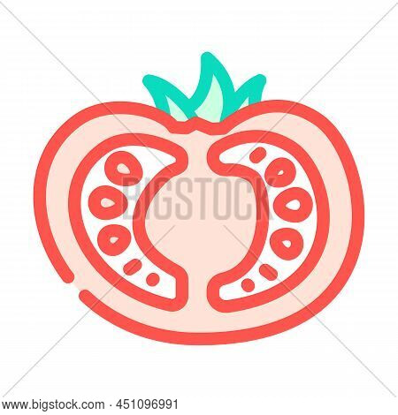 Half Tomato Color Icon Vector. Half Tomato Sign. Isolated Symbol Illustration