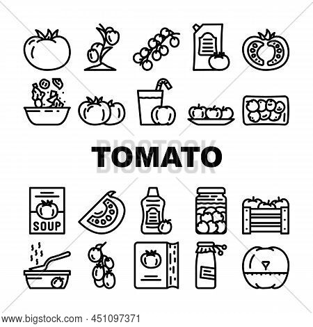 Tomato Natural Bio Ingredient Icons Set Vector. Tomato Vitamin Vegetable For Prepare Salad And Fresh