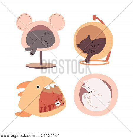 Cute Multi-colored Cats Of Different Breeds Sleep In Cat Houses. Tired Little Kittens Lie In Pet Bed
