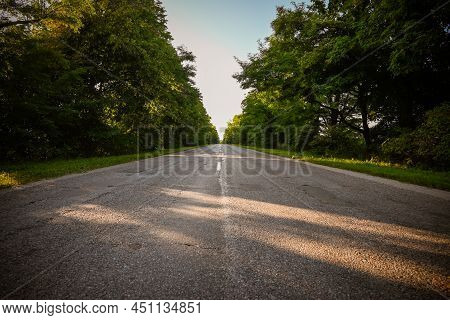 An Endless Little Road Going In The Middle Of The Forest. Green, Lushy And Uncontaminated Trees Ador