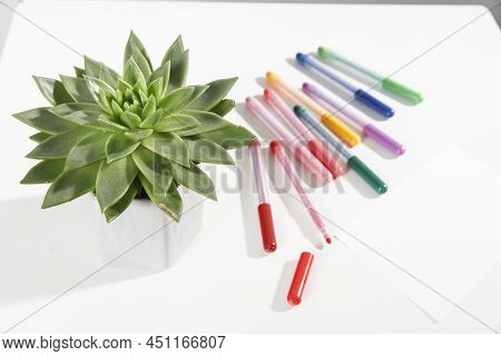 Echeveria In A Beautiful Ceramic Pot And Multi-colored Felt-tip Pens Pencils On A Beige Table. Educa