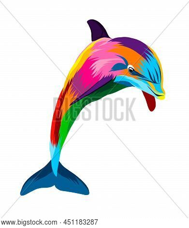 Abstract Dolphin From Multicolored Paints. Colored Drawing