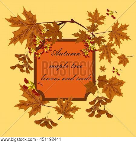 Branch, Seeds And Leaves Of Maple. Autumn Maple Leaves Set. Consept Of Autumn Frame Or Background Wi