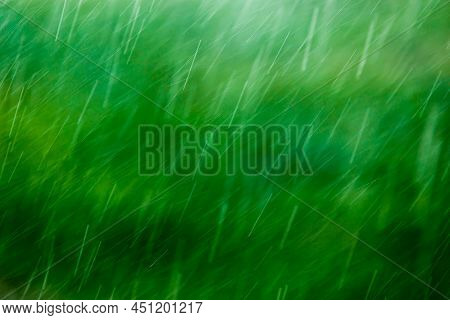 Blurry Falling Raindrops On Green Background With Selective Focus - Full Frame Telephoto View, Shot 