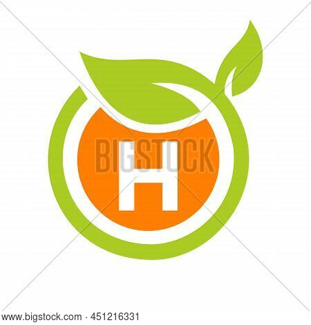 Eco Logo Design Letter H Vector. Eco Leaf Logo Icon Design Template On H Letter Concept