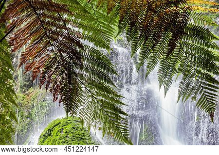 Green Fern Fronds Frame Cascading Waterfall Known As Bridal Veil Falls,
