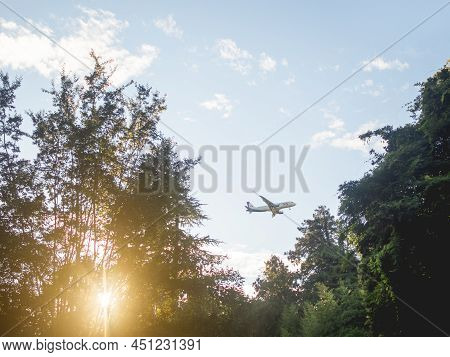 Sochi, Russia - September 24, 2021. Airplane Fies Over High Trees In Park. Aircraft On Blue Sky Back