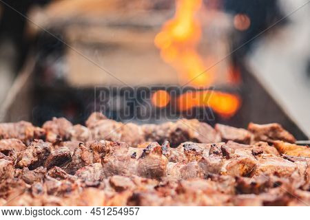 Pork Meat Skewers, Grilled Or Roasted In A Barbecue On An Open Fire And Flames, Shashlik Or Shashlyk