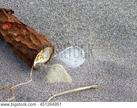 Metal Can On The Beach. Ecological Problem In The World, Waste Disposal. Environment
Concept.