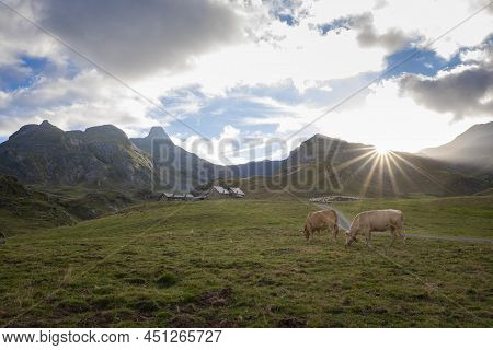 A Farm At The Foot Of A Mountain In The French Pyrenees, With A Path Leading To It, Two Cows Grazing