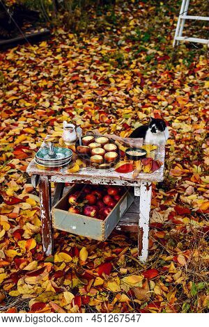 Stuffed Apple Cheesecake On The Table In The Autumn Garden . Selective Focus
