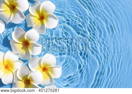 Tropical Frangipani Flowers On A Blue Water Background. Top View, Flat Lay