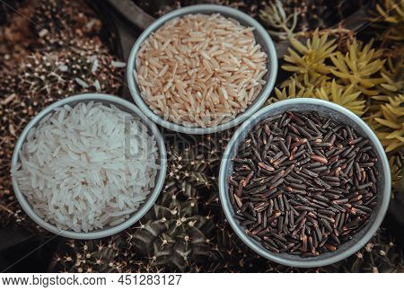 Various Types Of Rice : Brown Rice, Jasmine Rice, Riceberry Ceramic Cup. Organic Raw Rice Collection