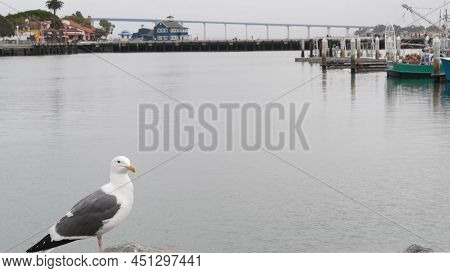 Seaport Village By Ocean Harbor, Downtown Of San Diego, California Coast, Usa. Seagull Bird By Marin