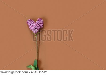 Template For Design With Branch Of Lilac In The Shape Of Heart. 
Spring Flowers Concept.