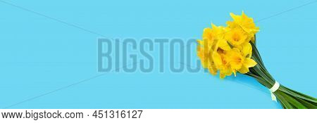 Set Of Beautiful Yellow Daffodils Lie On Blue Background. Flat Lay Top View With Copy Space For  You