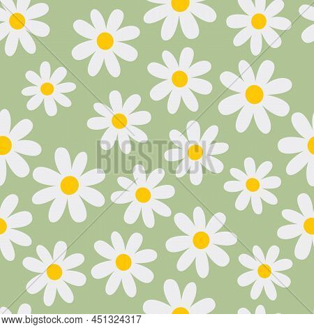 Chamomile. Florar Seamless Pattern. Green Background. Vector