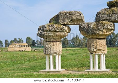 Parco archeologico. Metaponto. Basilicata. Italia.