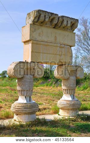 Parco archeologico. Metaponto. Basilicata. Italia.