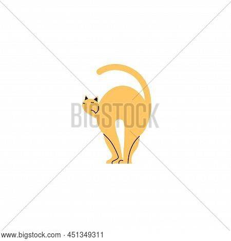 Ginger Cat Silhouette Arched Its Back And Hisses Isolated