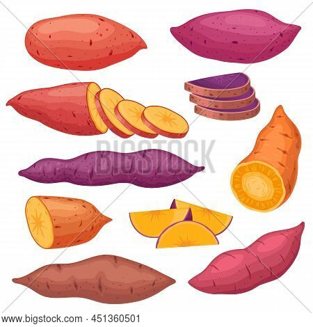 Cartoon Sweet Potato Types, Sliced Yam Or Batat. Baked Sweet Red Potatoes, Healthy Hot Fall Vegetabl
