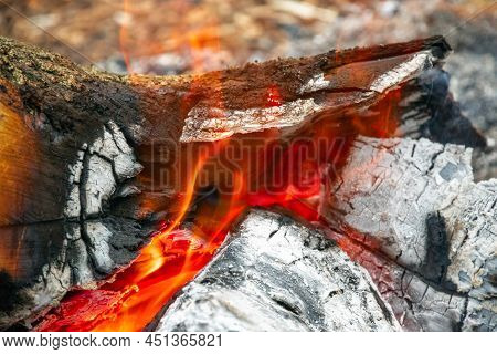 Close-up Of Campfire, Burning Wood And Ash