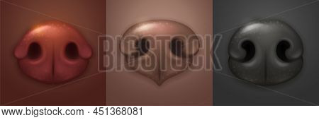 Cute Dog Noses, Canine Snout Front. Vector Realistic Illustrations Of Part Of Dog Or Puppy Face, Bro