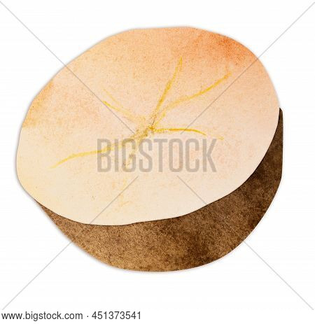 Hand-drawn Watercolor Papercut Potato. Bright Cute Kawaii Kidcore Style Illustration, Good For Farme