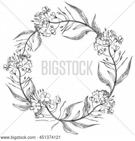 Hand Draw Floral Round Pattern In Vintage Style. Flowers, Leaves And Herbs. Botanical Illustrations.