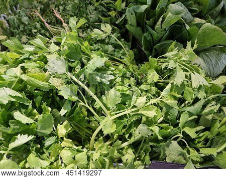 Fresh And Green Vetgetable In The Market.