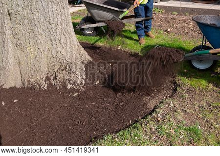 Mulch Work Around The Trees Season Brown