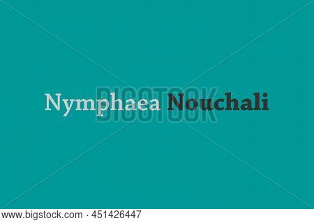 Nymphaea Nouchali Medicinal Element Typography Text Vector Design. Medical Science Conceptual Poster