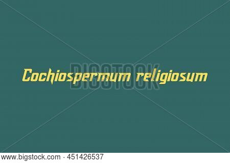 Cochiospermum Religiosum Medicinal Element Typography Text Vector Design. Medical Science Conceptual