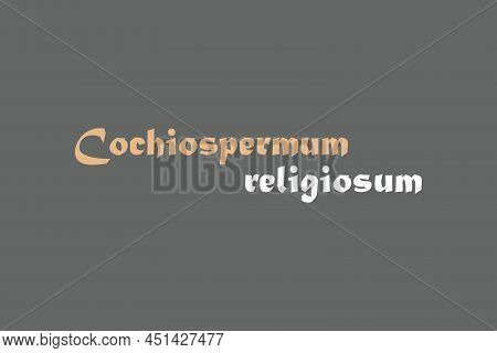Cochiospermum Religiosum Medicinal Element Typography Text Vector Design. Medical Science Conceptual