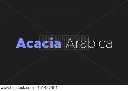 Acacia Arabica Medicinal Element Typography Text Vector Design. Medical Science Conceptual Poster, B